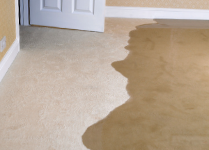 carpet restoration for flood damage in green bay